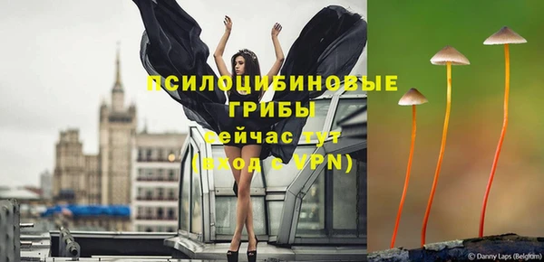 метамфетамин Белокуриха