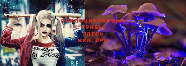 прущие крисы Беломорск